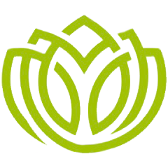 Concreate Garden